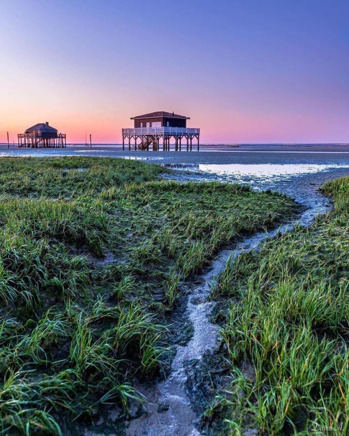 Au Coeur Du Bassin D'Arcachon,Tres Bel Appartement Avec Terrasse Audenge Eksteriør billede