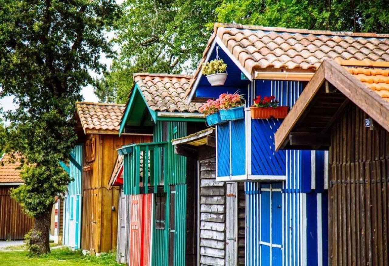 Au Coeur Du Bassin D'Arcachon,Tres Bel Appartement Avec Terrasse Audenge Eksteriør billede