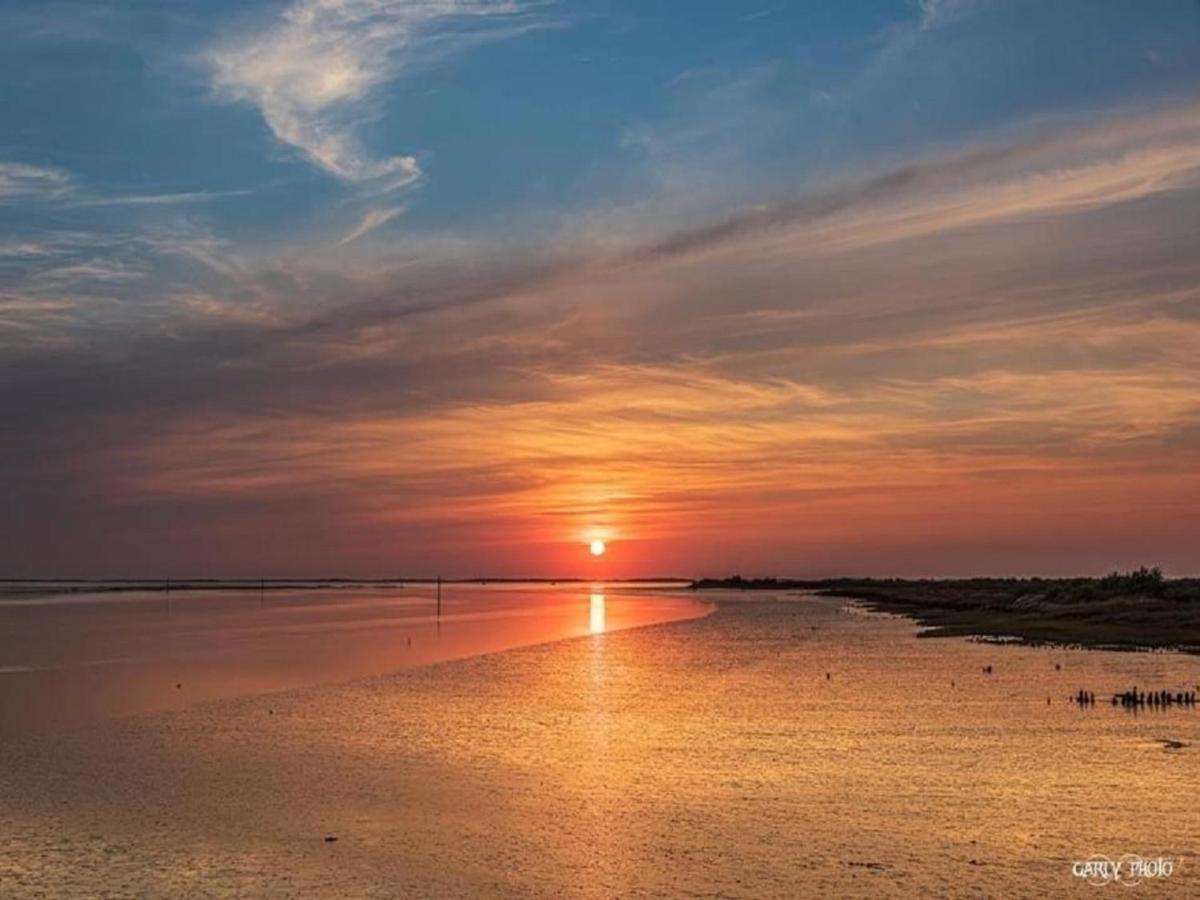 Au Coeur Du Bassin D'Arcachon,Tres Bel Appartement Avec Terrasse Audenge Eksteriør billede