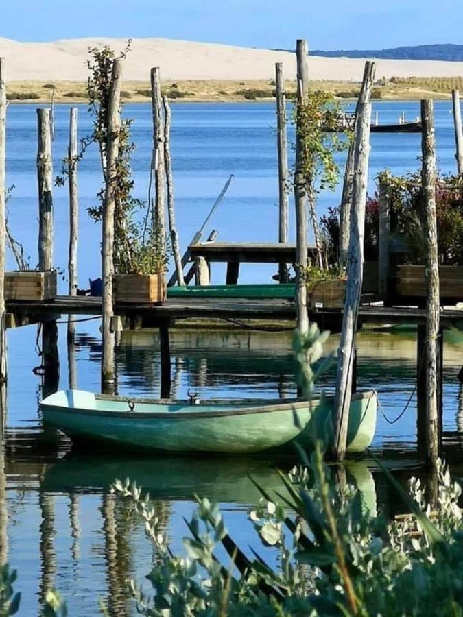 Au Coeur Du Bassin D'Arcachon,Tres Bel Appartement Avec Terrasse Audenge Eksteriør billede